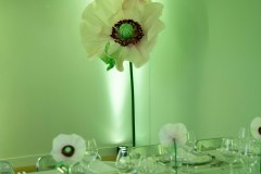 PARADOXE_DINNER-1004